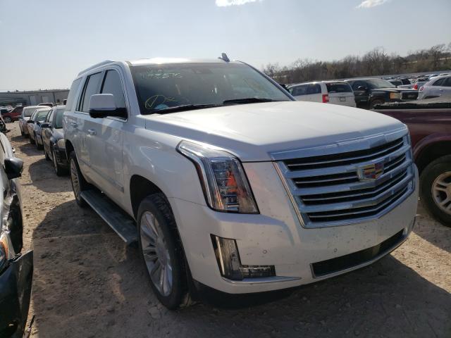 cadillac/1gys4dkj2kr178575-cadillac-escalade-2019