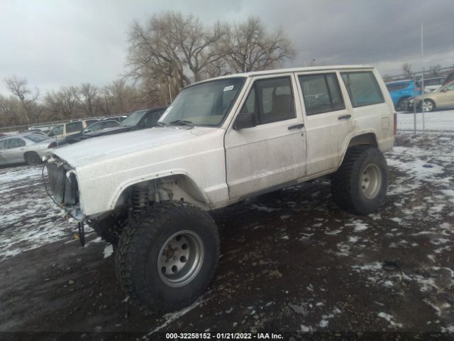 5N1DL0MN8LC540810 - Infiniti QX60 2020 аукцион фото